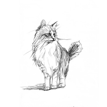 Pintura intitulada "Cat Sketch Pet Draw…" por Zhanna Kan, Obras de arte originais, Lápis