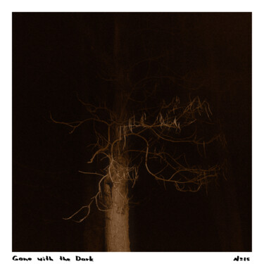 Photographie intitulée "Gone with the Dark…" par Zheka Khalétsky, Œuvre d'art originale, Photographie non manipulée