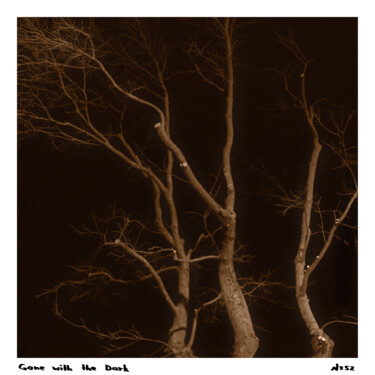 Fotografia zatytułowany „Gone with the Dark…” autorstwa Zheka Khalétsky, Oryginalna praca, Fotografia nie manipulowana