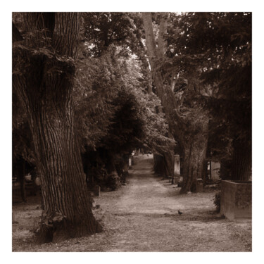 Fotografie mit dem Titel "Graveyard in Bratis…" von Zheka Khalétsky, Original-Kunstwerk, Nicht bearbeitete Fotografie