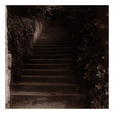 Fotografia zatytułowany „Stone Stairway” autorstwa Zheka Khalétsky, Oryginalna praca, Fotografia nie manipulowana