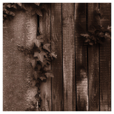 Fotografía titulada "Wood and Concrete" por Zheka Khalétsky, Obra de arte original, Fotografía no manipulada