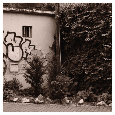Photographie intitulée "Backstreet Garden" par Zheka Khalétsky, Œuvre d'art originale, Photographie non manipulée