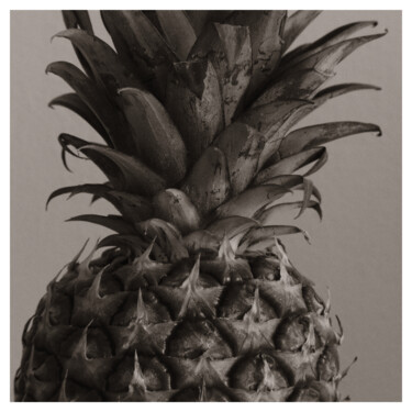 Photography titled "Plant Study (Ananas…" by Zheka Khalétsky, Original Artwork, Non Manipulated Photography