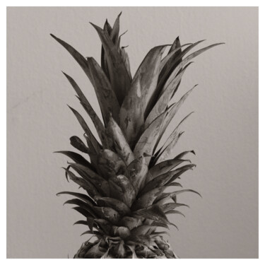 Фотография под названием "Plant Study (Ananas…" - Zheka Khalétsky, Подлинное произведение искусства, Не манипулируемая фотог…