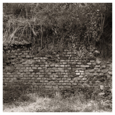 Fotografia intitolato "Brick Wall" da Zheka Khalétsky, Opera d'arte originale, Fotografia non manipolata