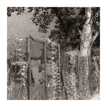 Fotografia intitulada "Rickety Fence" por Zheka Khalétsky, Obras de arte originais, Fotografia Não Manipulada