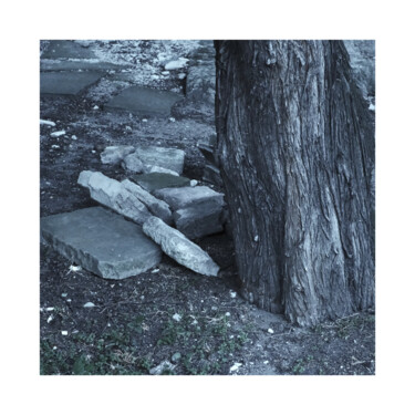 Photography titled "Stones and Tree" by Zheka Khalétsky, Original Artwork, Non Manipulated Photography