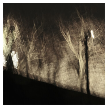 Фотография под названием "Trees (Dream of 22.…" - Zheka Khalétsky, Подлинное произведение искусства, Не манипулируемая фотог…