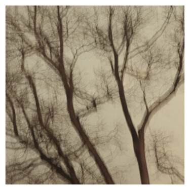 Photography titled "Tree (Dream of 22.X…" by Zheka Khalétsky, Original Artwork, Non Manipulated Photography