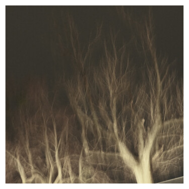 Φωτογραφία με τίτλο "Tree III (Dream of…" από Zheka Khalétsky, Αυθεντικά έργα τέχνης, Μη χειραγωγημένη φωτογραφία