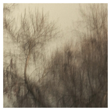 Fotografía titulada "Tree VI (Dream of 2…" por Zheka Khalétsky, Obra de arte original, Fotografía no manipulada