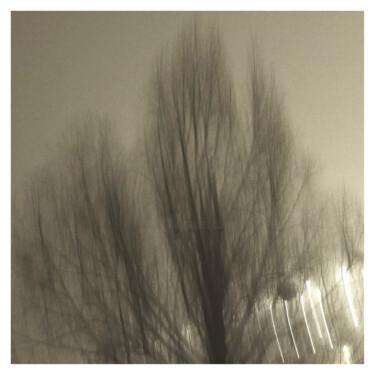 Photographie intitulée "Tree III (Dream of…" par Zheka Khalétsky, Œuvre d'art originale, Photographie non manipulée