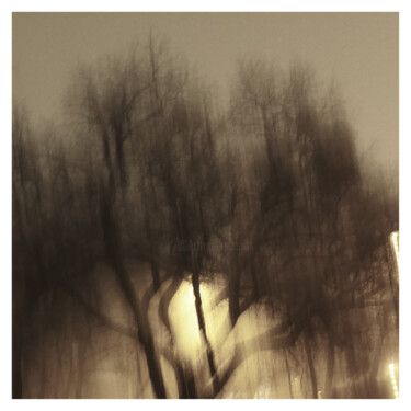 Photographie intitulée "Tree IV (Dream of 2…" par Zheka Khalétsky, Œuvre d'art originale, Photographie non manipulée