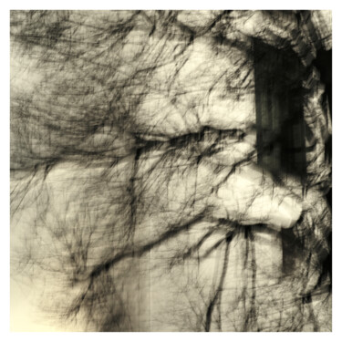 「Window behind Tree…」というタイトルの写真撮影 Zheka Khalétskyによって, オリジナルのアートワーク, 操作されていない写真