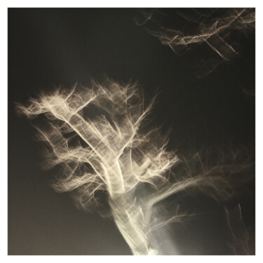 Photography titled "Tree II (Dream of 9…" by Zheka Khalétsky, Original Artwork, Non Manipulated Photography