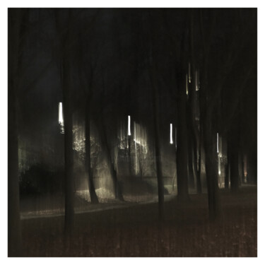 Photography titled "Park III (Dream of…" by Zheka Khalétsky, Original Artwork, Non Manipulated Photography