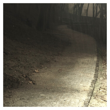 Photography titled "Rainy Path (Dream o…" by Zheka Khalétsky, Original Artwork, Non Manipulated Photography