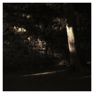 Photography titled "a tree by a wall" by Zheka Khalétsky, Original Artwork, Non Manipulated Photography