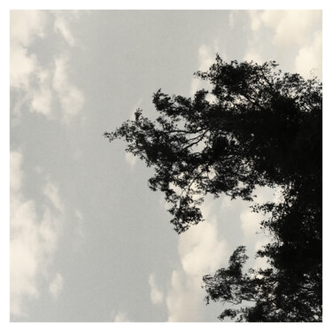 Photography titled "a tree and the sky" by Zheka Khalétsky, Original Artwork, Non Manipulated Photography
