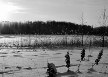 Fotografie mit dem Titel "frost" von Zhenya Kraynova (J.K), Original-Kunstwerk