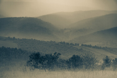 Chianti summer Photography titled "Chianti summer" by Zhibek Alipour, Original Art, Digital Photography