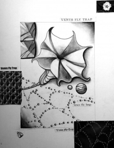 Drawing titled "Venus Fly Trap" by Zita Barbara Sanders, Original Artwork