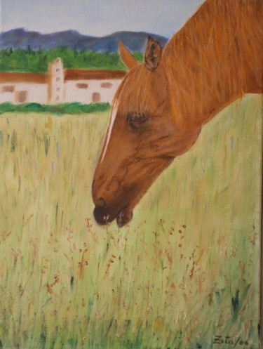 Pintura intitulada "Cavalo a Pastar" por Zita Dantas, Obras de arte originais