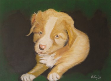 Pintura intitulada "Cachorrinho" por Zita Dantas, Obras de arte originais