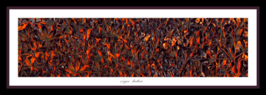 Arte digital titulada "Fire and aesthetics…" por Ziya Tatar, Obra de arte original, Pintura Digital