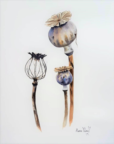 Картина под названием "Poppy Maracas" - Maria Yılmaz, Подлинное произведение искусства, Акварель