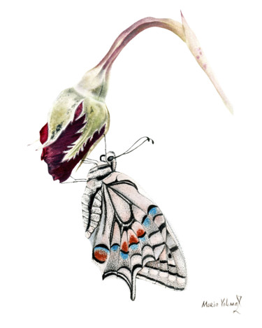 Картина под названием "Rose with Butterfly" - Maria Yılmaz, Подлинное произведение искусства, Акварель