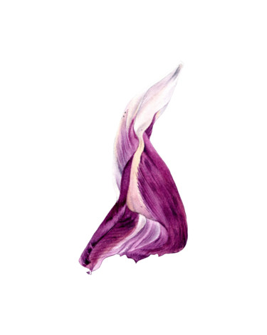 Картина под названием "Tulip Petal 1" - Maria Yılmaz, Подлинное произведение искусства, Акварель