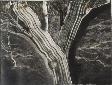 Incisioni, stampe intitolato "tree2" da Yi Zhong Zhang, Opera d'arte originale