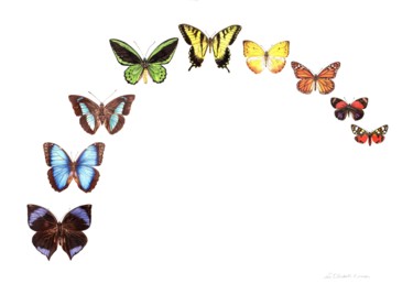 Картина под названием "Butterfly Rainbow" - Zoe Norman, Подлинное произведение искусства, Акварель