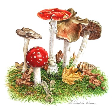 Картина под названием "Woodland Mushrooms" - Zoe Norman, Подлинное произведение искусства, Акварель