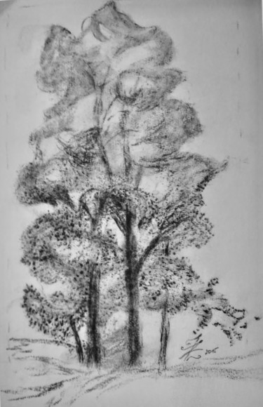 Peinture intitulée "L'arbre" par Zoé Valy, Œuvre d'art originale, Fusain Monté sur Carton