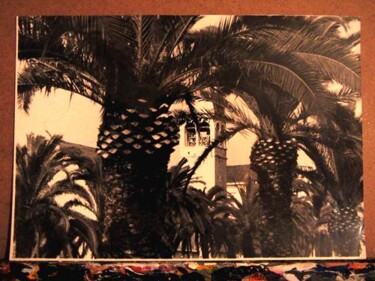 Fotografie mit dem Titel "palmen" von Zoran Komatinović, Original-Kunstwerk