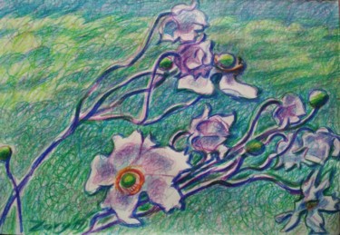 Desenho intitulada "Flor Agreste" por Zory, Obras de arte originais, Lápis