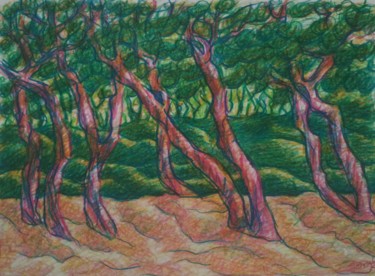 Desenho intitulada "Árvores tortas" por Zory, Obras de arte originais, Lápis
