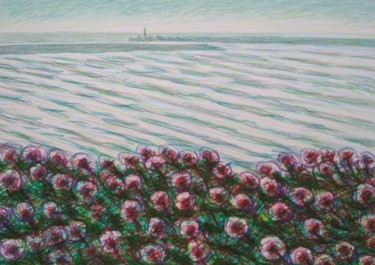 Рисунок под названием "Red clover and sea…" - Zory, Подлинное произведение искусства, Карандаш