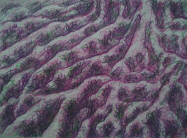 Рисунок под названием "Roots II" - Zory, Подлинное произведение искусства, Карандаш