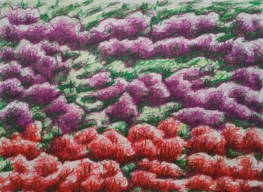 Dessin intitulée "Grass carpet II" par Zory, Œuvre d'art originale, Crayon