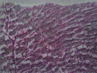 Dessin intitulée "Feeling of Gerês" par Zory, Œuvre d'art originale, Crayon