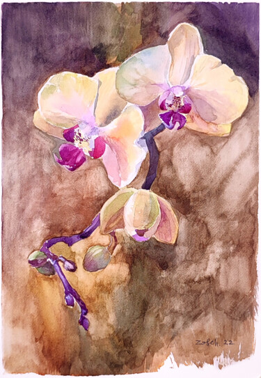 Painting titled "Orchid" by Zosch, Original Artwork, Watercolor