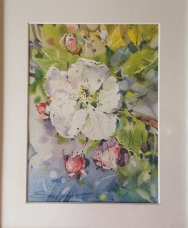 Painting titled "Apple blossom" by Zoia Emelyanenko, Original Artwork, Watercolor