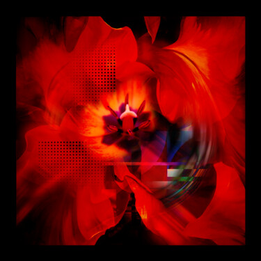 Digital Arts titled "Tulipfever III." by Edit Zs. Toth (The GRAPH Collection), Original Artwork, 2D Digital Work Mounted on…