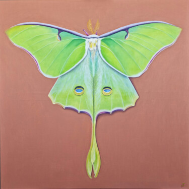 Painting titled "Luna Moth (Series M…" by Zulfiya Mukhamadeyeva, Original Artwork, Oil Mounted on Wood Stretcher frame