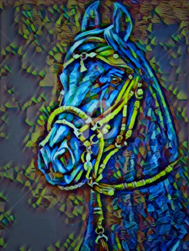 Фотография под названием "Лошади 2" - Зумрад Аблакулова, Подлинное произведение искусства, Пленочная фотография