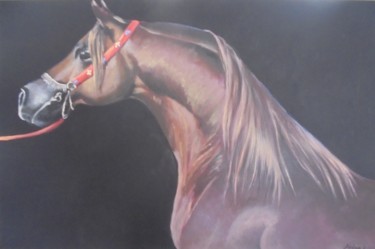 Painting titled "arabian horse" by Liubov Aristova, Original Artwork, Oil